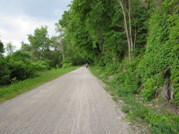 And biked down trails that looked just like this.