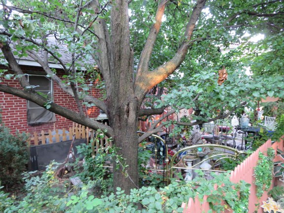 This homeowner took creative license with her yard.